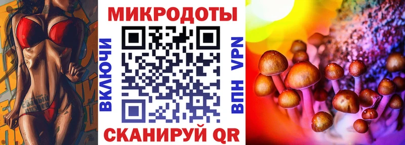 Псилоцибиновые грибы ЛСД  Купить закладки  Волгореченск 