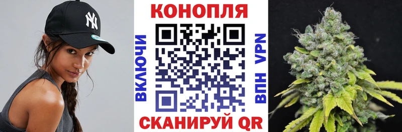 Шишки марихуана семена  Купить  Волгореченск 